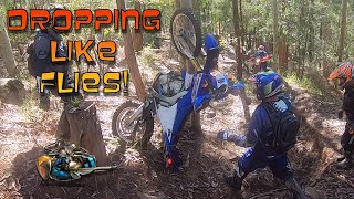 DROPPING LIKE FLIES Watagan state forest Yamaha WR250R WR250F WR450F KTM BETA HUSQVARNA [upl. by Enoitna623]