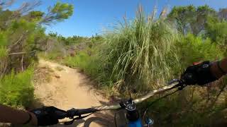 Test ride vitus sentier VR 29 hardtail on snake trail chula vista [upl. by Lance]