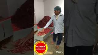 Cyclone Blower Vacuum Pulverizer For Grinding All kind of Dry Spices like ChillyTurmeric Coriander [upl. by Torry734]