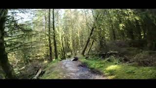 Rostrevor Red XC Loop [upl. by Tila]