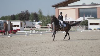 Campionato Regionale Dressage Fise Lombardia 2023 [upl. by Airtina]