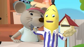 Rats Old Porridge  Bananas in Pyjamas Season 1  Full Episodes  Bananas In Pyjamas [upl. by Harts]