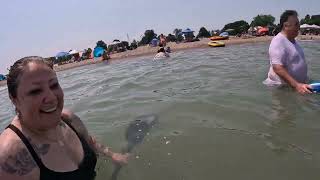 Maggie falls off kayak in Kenosha 2024 [upl. by Vig]