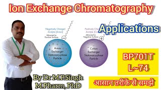 Applications of Ion Exchange Chromatography  Instrumental Methods of Analysis  BP701T  L74 [upl. by Nairbal646]