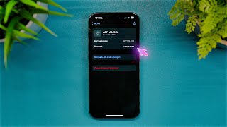 iPhone WLAN Passwörter anzeigen iOS 18 [upl. by Ennovihc274]