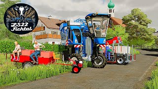 LS22 Fichtal 135  Zum ENDE Trauben Ernte mit 3 Verschieden GERÄTEN  FARMING SIMULATOR 22 [upl. by Xela]