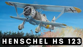 Henschel Hs 123  Germanys FIRST closesupport attack aircraft 39  44 [upl. by Yelrahc]