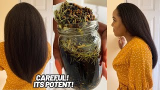 The Most Powerful Hair Growth Oil  Caution‼️It’s Super Potent [upl. by Neirod]