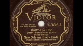 NEW ORLEANS BLACKBIRDS BABY [upl. by Nabru500]