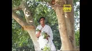 Ayurvedic use Cluster Fig Guller [upl. by Arreit]