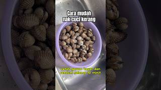 Cara mudah nak cuci kerang Resepi kerang asam pedas di link [upl. by Siravat]