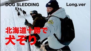 犬ぞりツアー！北海道鹿追マッシングワークス DOG SLEDDING TOURS [upl. by Fritzie]