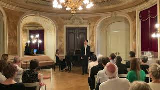 Schwanengesang  Franz Schubert [upl. by Ecinreb]