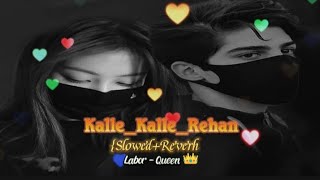 Kale Kale Rehn Raat Nau Rahat Fateh Ali Khan Slow  Reverb Labour Queen [upl. by Llewop410]