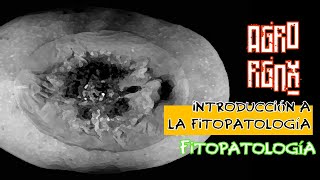 Introducción a la fitopatología🌿🌱agroRGNX [upl. by Harak]