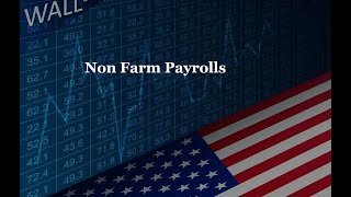 Non Farm Payroll Preview [upl. by Gimpel]