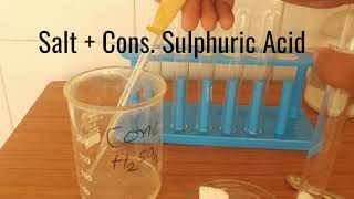 Test for ammonium ion  Test for chloride ion  Nesslers reagent test [upl. by Ellennaj729]