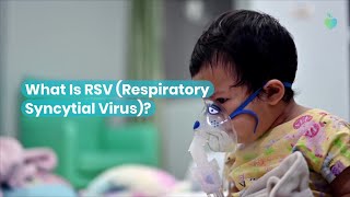 What Is RSV Respiratory Syncytial Virus [upl. by Haldane]