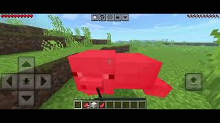 Minecraft PE to java edition [upl. by Sabas420]