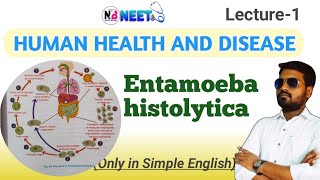 Entamoeba histolytica life cycle NaturalBiology [upl. by Hizar64]