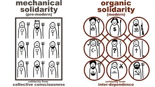 Durkheims Mechanical and Organic Solidarity what holds society together [upl. by Aziram]