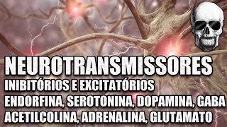 Vídeo Aula 147  Sistema Nervoso  Neurotransmissores Serotonina Dopamina e Endorfinas  Anatomia [upl. by Aneri]