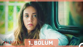 Kalp Atışı 1 Bölüm HD [upl. by Carlene]