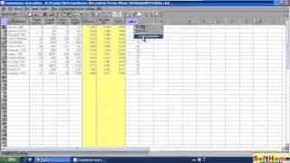 Comprehensive MetaAnalysis CMA 入門教學 Working with moderator variables I [upl. by Eednarb]