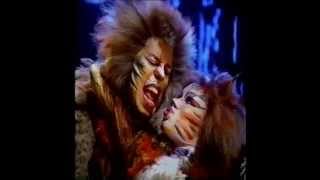 Cats the musicalRum Tum Tugger1980s [upl. by Yeliw746]