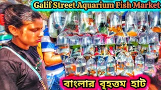 গ্যালিফ্ স্ট্রিট কালারিং মাছের হাট  Indias Biggest Pet Market Galiff Street Colour Pets Market [upl. by Whalen]