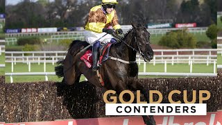 2023 BOODLES CHELTENHAM GOLD CUP CONTENDERS [upl. by Riki]