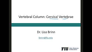 Cervical Vertebrae [upl. by Alurd148]