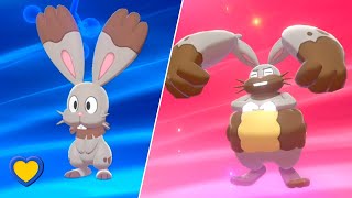 HOW TO Evolve Bunnelby into Diggersby in Pokémon Sword and Shield [upl. by Tawsha505]