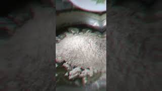 Atta ka halwa halwa food recipe sweet [upl. by Balkin]