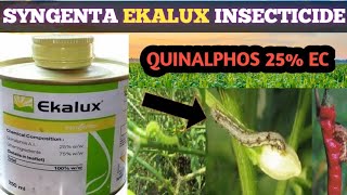 SYNGENTA EKALUX INSECTICIDE  QUINALPHOS 25 EC  systamic insectiside [upl. by Nylekcaj]