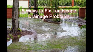 5 Ways to Fix Landscape Drainage Problems [upl. by Welford464]