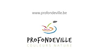 Conseil communal de Profondeville du 21 mars 2022 [upl. by Hteboj]