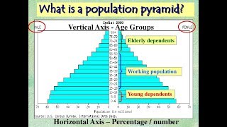 Population Pyramids AP Human Geography [upl. by Duster319]