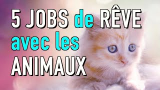 5 JOBS DE RÊVE POUR TRAVAILLER AVEC LES ANIMAUX [upl. by Paucker]