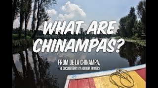 What are Chinampas [upl. by Edelsten]