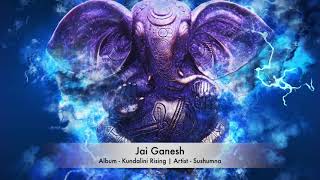 Ganesha Mantra  Remove All Obstacles with this Mantra  Sushumna [upl. by Borer]