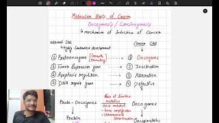 Proto oncogene and oncogene  Molecular basis of cancer  Biochemistry  MBBS [upl. by Hnahk]