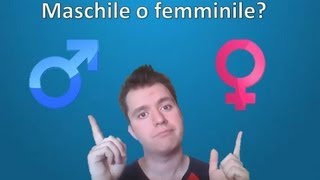 Apprendre litalien  Leçon 2  Les articles et le féminin des substantifs [upl. by Nosnirb628]