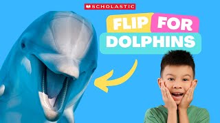 DOLPHIN 🐬 Facts for KIDS  DOLPHINS Ride Waves 🌊 for FUN [upl. by Clite373]