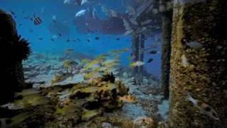 Semusim di Misool Rajaampat [upl. by Ardine]