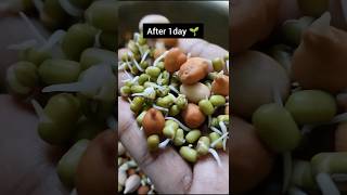 sprouts benefits sprouts sivaramanspeech sproutssaladhealthytipsrecipefoodiehowtomakesprouts [upl. by Hausmann343]