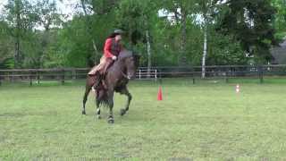 Zagalo Training Working Equitation [upl. by Aura]