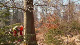 Waldarbeiter beim Baum fällen [upl. by Waers]