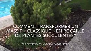 Comment réaliser une rocaille de plantes succulentes rustiques belles toute l’année [upl. by Rekrap]