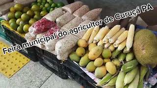 FEIRA MUNICIPAL DO AGRICULTOR DE CURUÇÁ PA [upl. by Sukhum248]